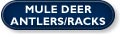 North Country Taxidermy,Mule Deer, mule deer, black bear, Whiteface Mountain, Upstate New York, New York,Adirondacks, taxidermy, new york, Adirondack Mountains,antlers, taxidermy, taxidermists