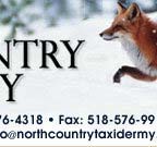 Lake Placid, New York,Adirondacks, taxidermy, new york, Adirondack Mountains,antlers, taxidermy, taxidermists, deer, elk, black bear, Whiteface Mountain, Upstate New York